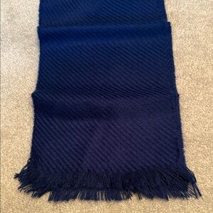 Elegant Blue Scarf with Fringe